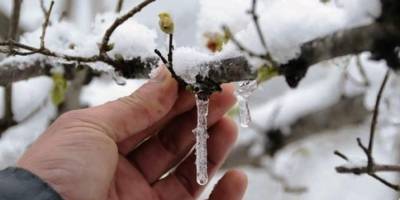 Aydın’da, Pazartesi’ye kadar zirai don bekleniyor