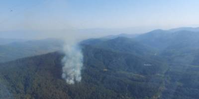 İzmir’deki orman yangını kontrol altında