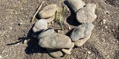 Koparmanın cezası 80 bin TL