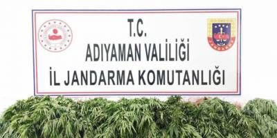 Adıyaman’da kenevir bitkisi ele geçirildi
