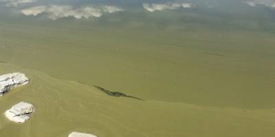 Burdur Gölü'nde alg patlaması