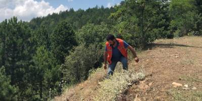 "Cam şişe ve pet şişeleri ormanlık alana atmayalım”
