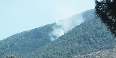 Milas’ta orman yangını