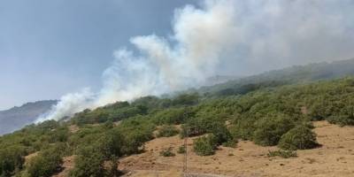 Bingöl’deki orman yangınına müdahale sürüyor