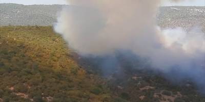 Milas'ta çıkan orman yangınına müdahale ediliyor