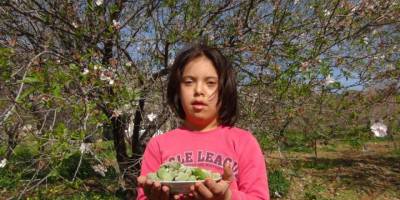 Badem çağlasının kilosu tezgahlarda 100 liradan alıcı buluyor