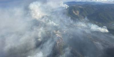 İspanya’da bin 500 hektar ormanlık alan küle dündü