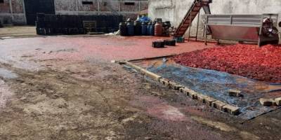 İzmir'de sağlıksız koşullarda üretilen 52 bin 409 kilogram salçaya el kondu