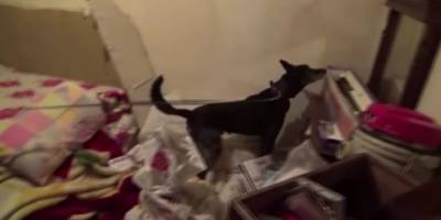 Erzurum’da uyuşturucu operasyonu: 13 tutuklama