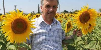 Ayçiçek avans fiyatları üreticinin yüzünü güldürdü