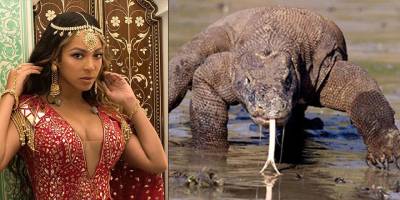 Dünyanın en zengin ailelerinden Ambanilerden komodo ejderli 'süper lüks' hayvanat bahçesi