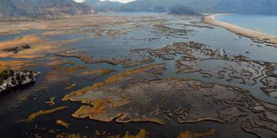 Labirent görünümlü Dalyan sazlıkları misafirlerini ağırlamaya devam ediyor