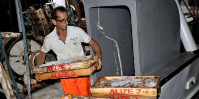 Akdeniz'den balıkçılar ilk avları ile dönmeye başladı