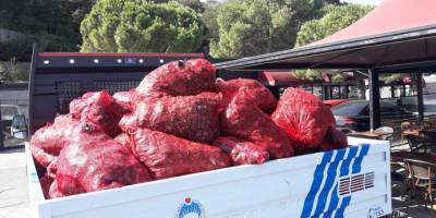 Sarıyer sahilinde 4 ton midye ele geçirildi