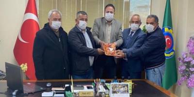 Sezonun ilk turfanda şeftalisi Tarsus’ta hasat edildi