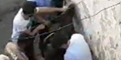 Çarşaflı erkek hırsız damda uyuyakalınca yakayı ele verdi