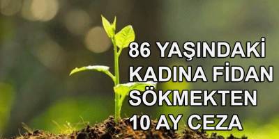 86 yaşındaki kadına 1 fidan için 10 ay hapis cezası