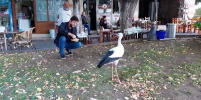 Sürüsünü terk etti mahallenin sakini oldu