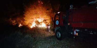 Manavgat'ta orman yangını