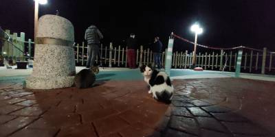 Onlar balıkçıları, balıkçılarda oltayı bekliyor