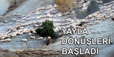 Yayla mesaisini tamamlayan Doğu Anadolu'daki göçerler dönüş yolunda