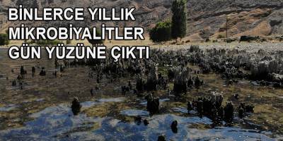 Van Gölü’nün suyu çekildi binlerce yıllık mikrobiyalitler gün yüzüne çıktı