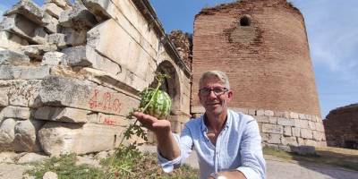2 bin yıllık surların içinden çıktı, kimse koparmaya kıyamadı