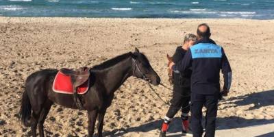 Sakatlanan yarış atına Çeşme’de plaj engeli