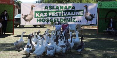Kütahya'da "En Güzel Kaz Yarışması" düzenlendi