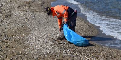 İzmir’de ölü balıklar kıyıya vurdu