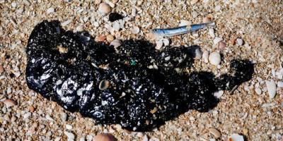 İsrail tarihinin en büyük çevre felaketi hakkındaki soruşturmaya yayın yasağı