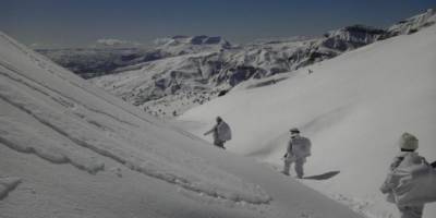 Bingöl'de Eren Şenyayla-Sağgöze operasyonu başlatıldı