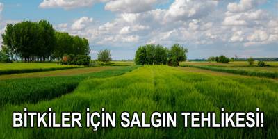 Bitkiler için salgın kapıda