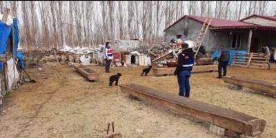 Iğdır'da hayvan hırsızlığına 7 gözaltı