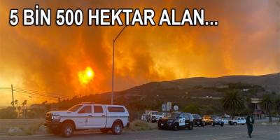 California’da yangın: 5 bin 500 hektar alan yandı