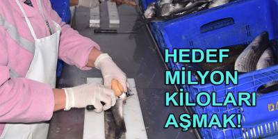 Balık yumurtası ve bottargada hedef 1 milyon kiloyu aşmak