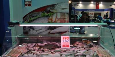 Türk somonunun ihracatı katlanarak artıyor