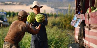 Türkiye'nin karpuz ihracatı 9 ayda 21 milyon doları geçti