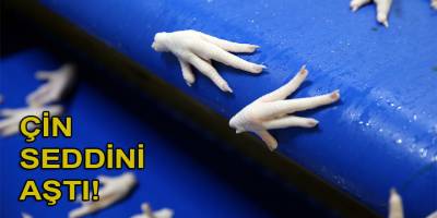 Tavuk ayağı ile Çin'e giren Türk firma ada ülkelerine de açıldı