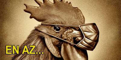 Bilim insanlarından pandemi uyarısı: En az 8 kuş gribi türü dünyada dolaşıyor