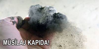 Marmara soğuyamıyor, müsilaj tehlikesi kapıda