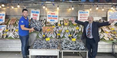 Tezgahlarda hamsinin kilogramı 10 liraya kadar düştü