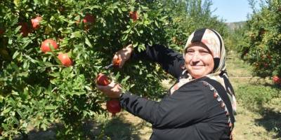 İhracatta nar bereketi