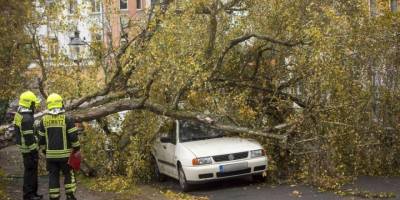 Polonya’da şiddetli fırtına: 4 ölü, 18 yaralı