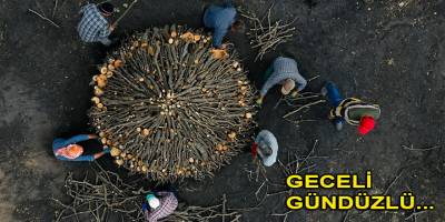 Mangal kömürü için ateş başında gece gündüz mesai yapıyorlar