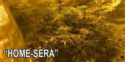 Eve zehir serası kuran şüpheliler yakalandı