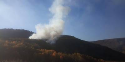 Bingöl’de çıkan orman yangını kontrol altına alındı