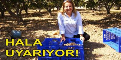 CHP'li belediyeler halka hizmet, proje üretemediklerinden mi tarıma sarılıyorlar?