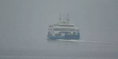 İDO ve BUDO'dan sis nedeniyle sefer iptalleri