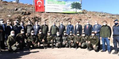 Adrasan'da yanan ormanlık alan yeniden yeşillendiriliyor